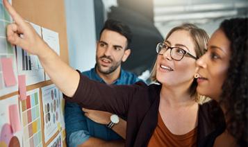 expérience collaborateur